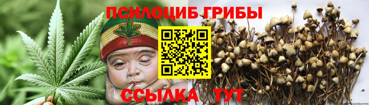Псилоцибиновые грибы ЛСД Чернушка