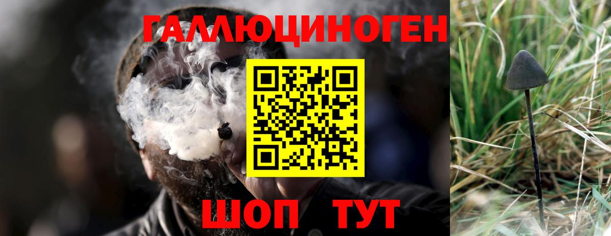 Галлюциногенные грибы мицелий  Вход с VPN  Чернушка  Псилоцибиновые грибы MAGIC MUSHROOMS 